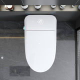 Xspracer Moray Elongated Smart Bidet Toilet with Foot Sensor and LED Night Light