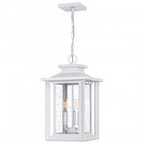 Quoizel Wakefield Earth Black Transitional Seeded Glass Lantern Pendant Light