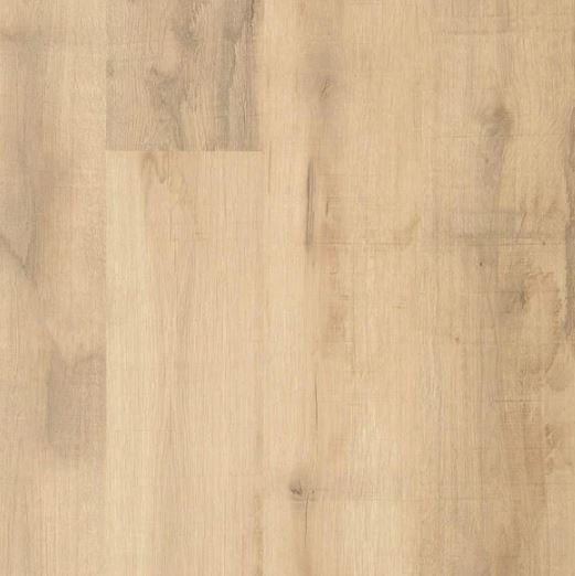 Outlast+ 7.48 in. W Bleached Woodland Oak Waterproof Laminate Wood Flooring (19.63 sq. ft./case) - Super Arbor