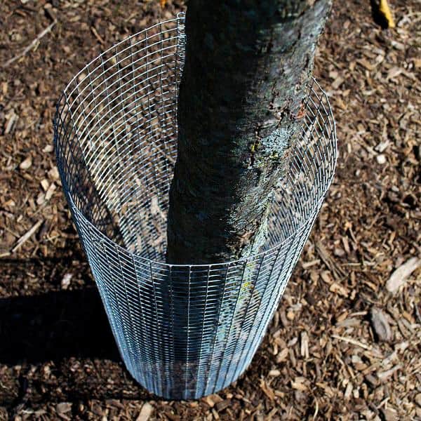 Yard Elements 1/2 in. x 4 ft. x 50 ft. Hardware Cloth : 19-Gauge Wire Mesh Fence : Chicken Wire, Rabbit Cage : Garden & Plant Support