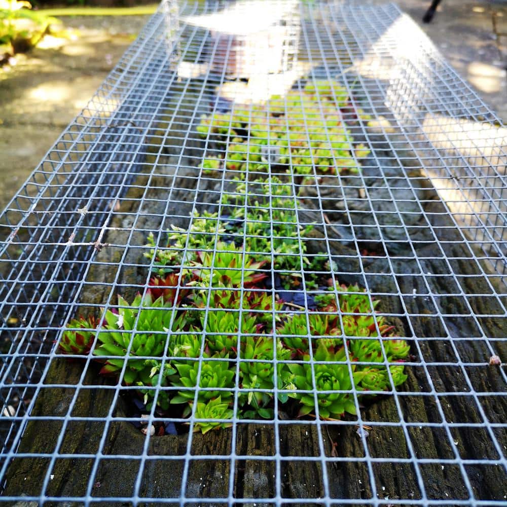 Yard Elements 1/2 in. x 4 ft. x 50 ft. Hardware Cloth : 19-Gauge Wire Mesh Fence : Chicken Wire, Rabbit Cage : Garden & Plant Support