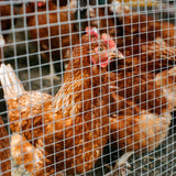 Yard Elements 1/2 in. x 4 ft. x 50 ft. Hardware Cloth : 19-Gauge Wire Mesh Fence : Chicken Wire, Rabbit Cage : Garden & Plant Support