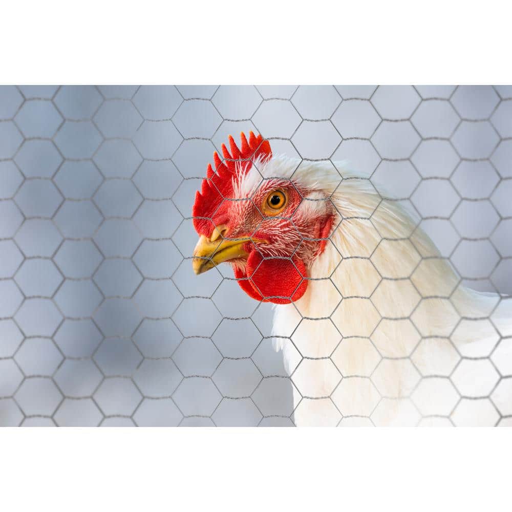 YARDGARD 1 in. x 1 ft. x 50 ft. 20-Gauge Poultry Netting
