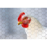 YARDGARD 1 in. x 1 ft. x 50 ft. 20-Gauge Poultry Netting