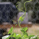 YARDGARD 2 in. Mesh x 4 ft. x 25 ft. 20-Gauge Galvanized Poultry Netting