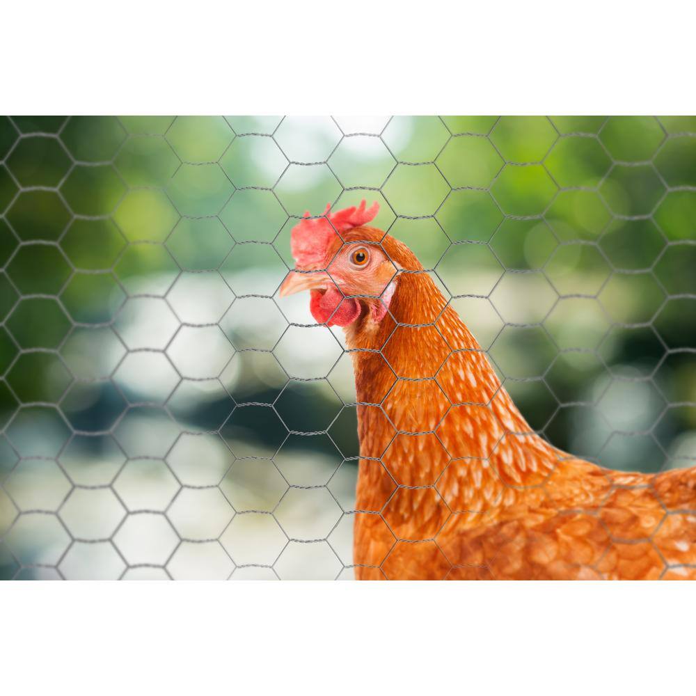 YARDGARD 5 ft. x 25 ft. Galvanized Poultry Netting