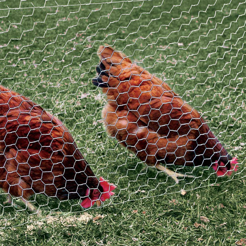 YARDGARD 5 ft. x 25 ft. Galvanized Poultry Netting