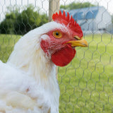YARDGARD 5 ft. x 25 ft. Galvanized Poultry Netting