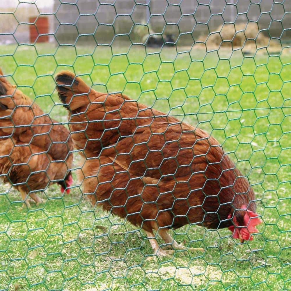 YARDGARD 5 ft. x 25 ft. Galvanized Poultry Netting