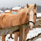 YARDGARD 6 ft. x 50 ft. 14-Gauge Galvanized Welded Wire