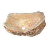 ANZZI Desert Shell Vessel Sink in Dark Honey Onyx, 19.7 x 19.7 x 5.9 in